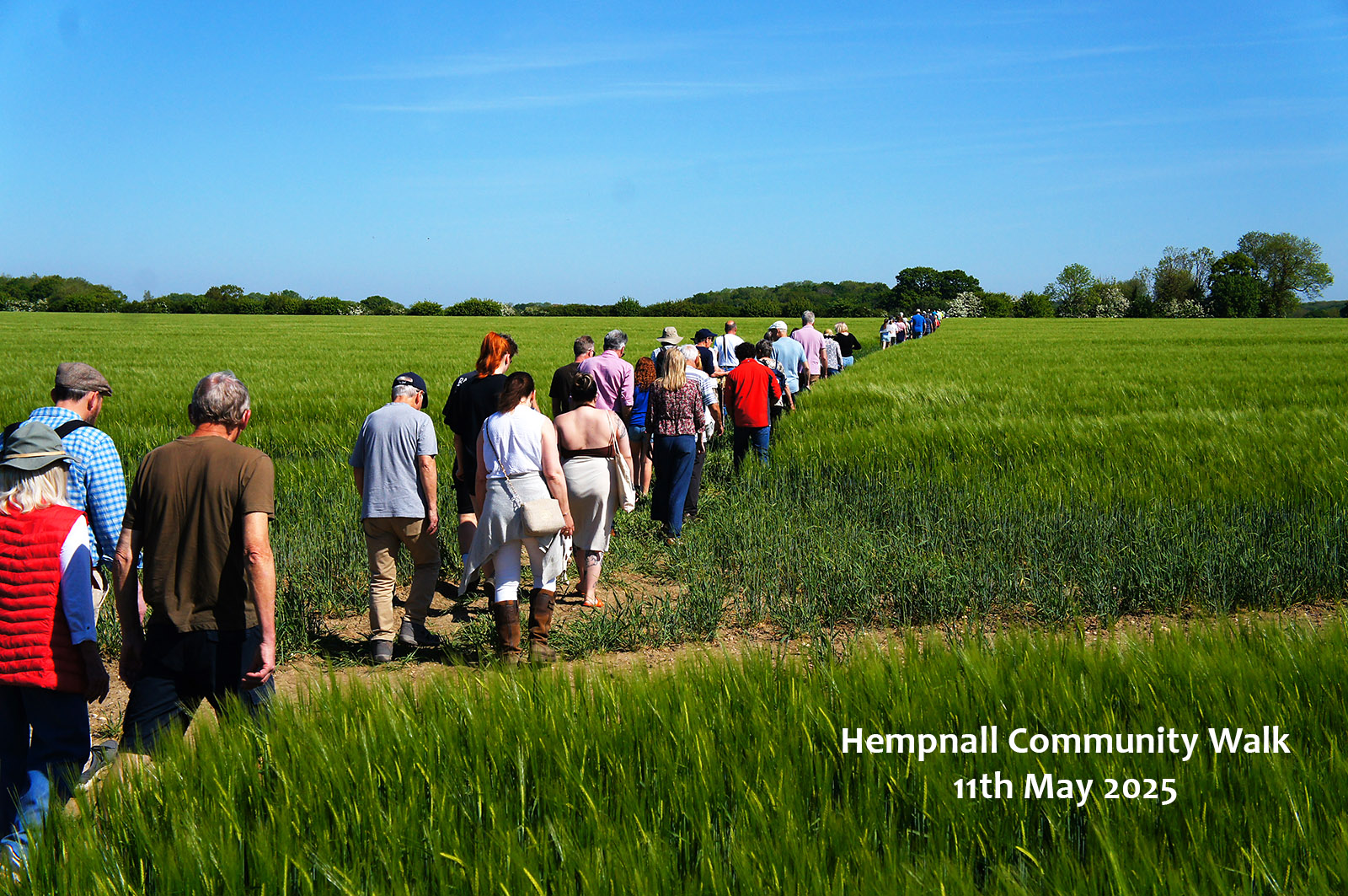 South Norfolk countryside